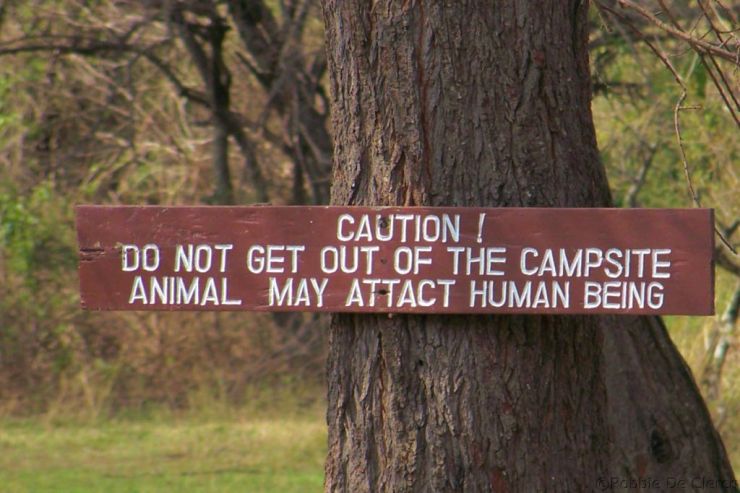 Serengeti National Park (3)