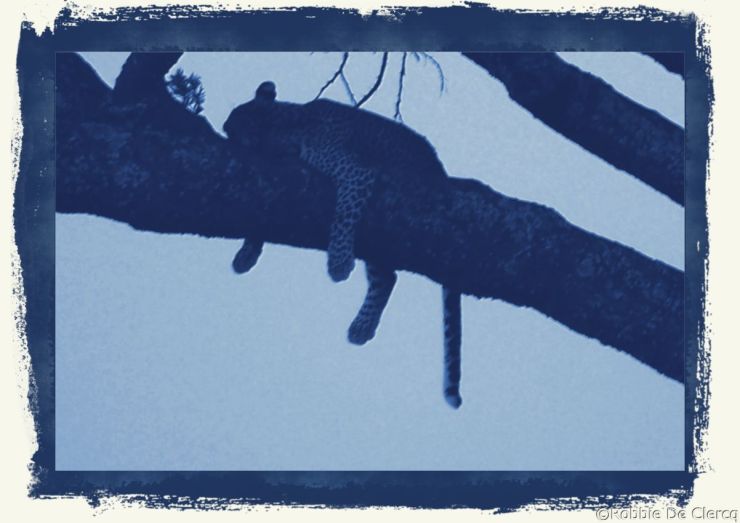 Serengeti National Park (48)