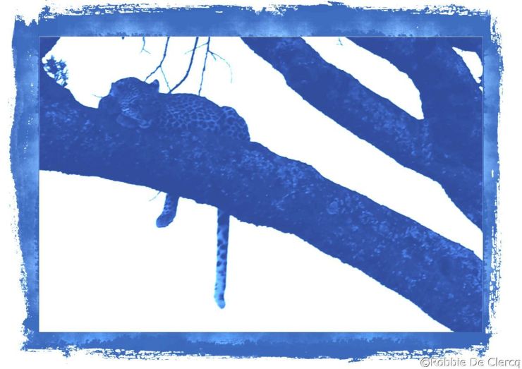 Serengeti National Park (51)