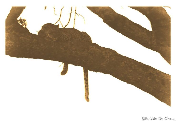 Serengeti National Park (52)