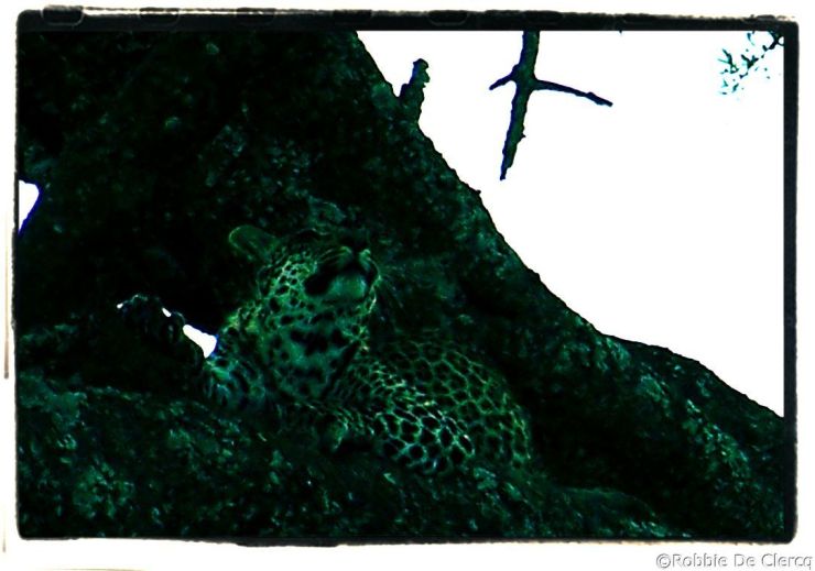 Serengeti National Park (55)