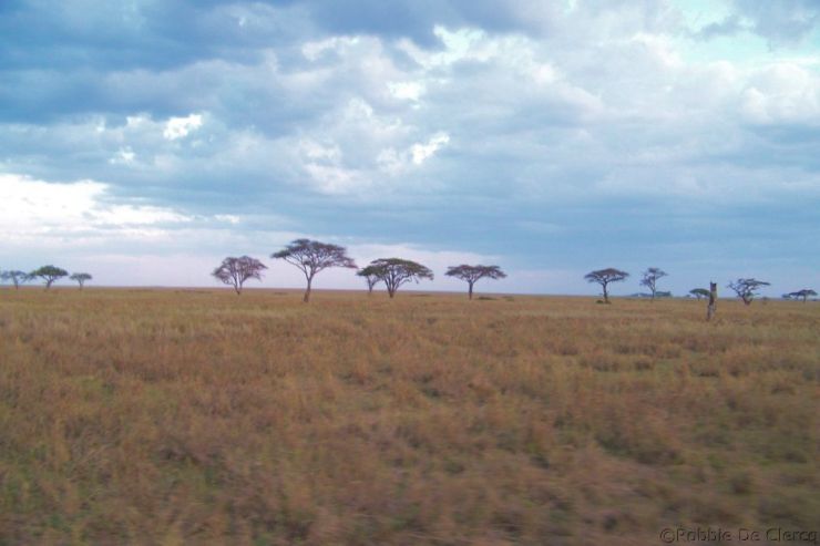 Serengeti National Park (56)