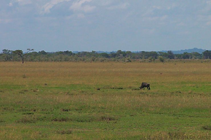 Serengeti National Park (7)