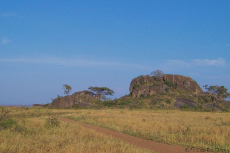 Serengeti National Park (74)