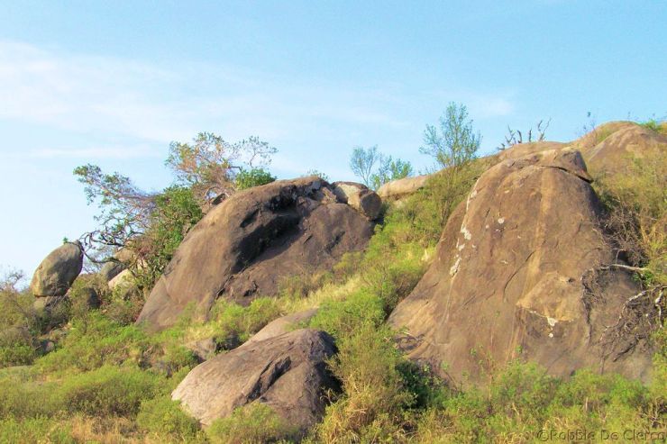 Serengeti National Park (76)