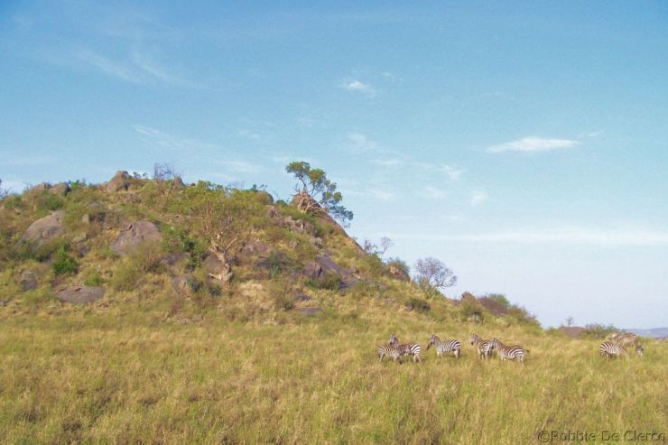 Serengeti National Park (78)