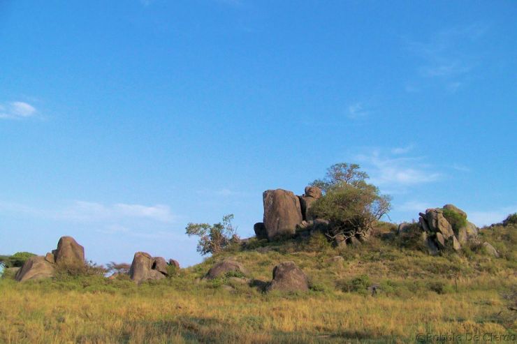 Serengeti National Park (81)