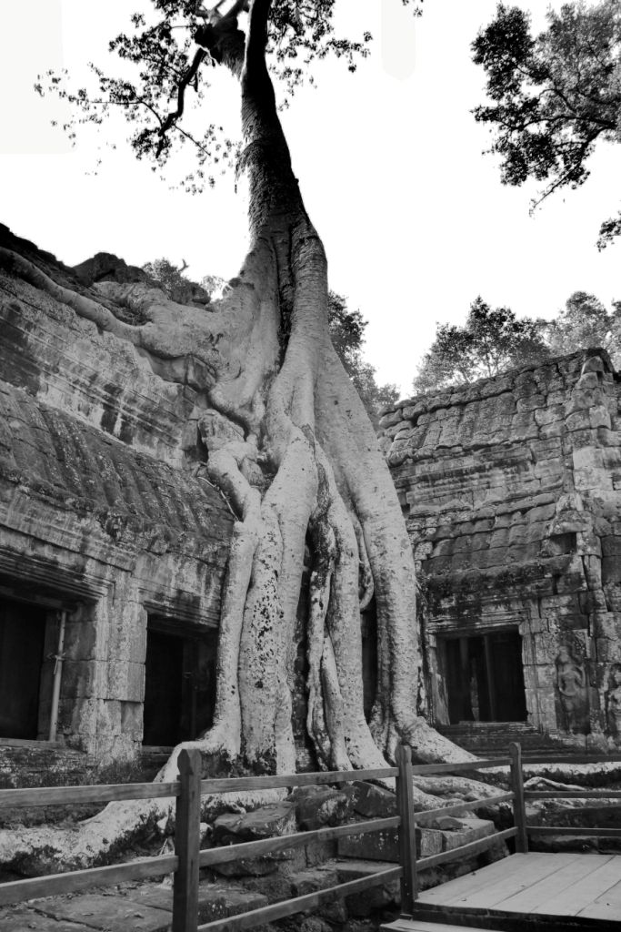 Ta Phrom (12)