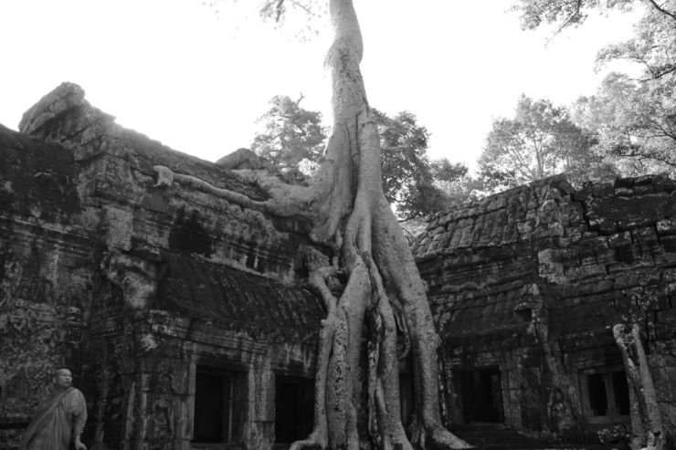 Ta Phrom (13)