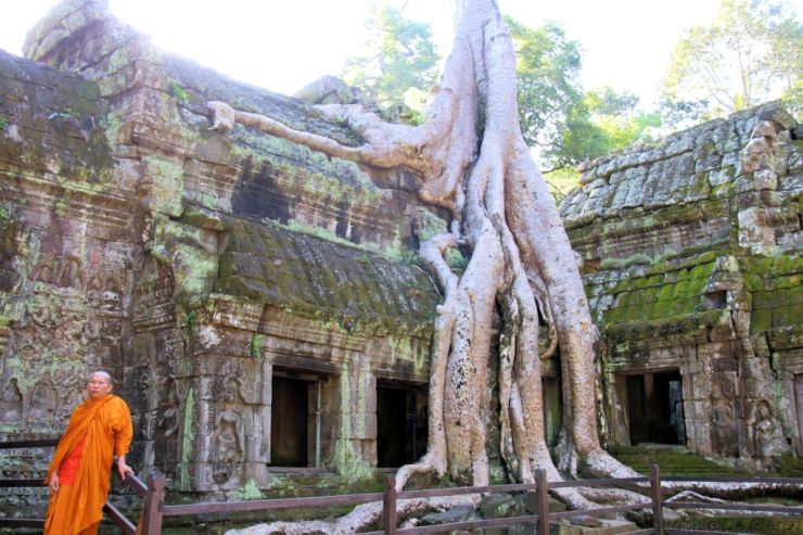 Ta Phrom (14)