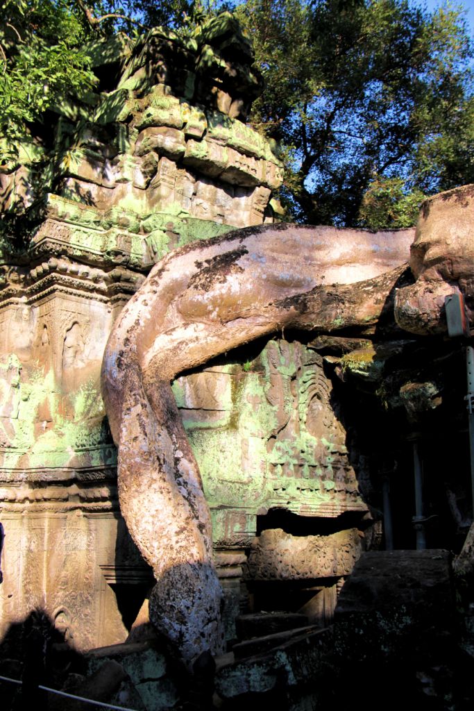 Ta Phrom (25)