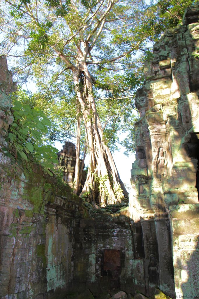 Ta Phrom (27)