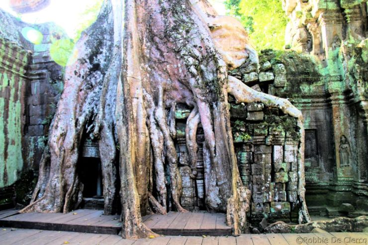 Ta Phrom (28)