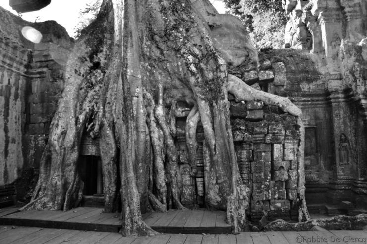 Ta Phrom (29)