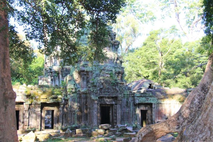 Ta Phrom (35)