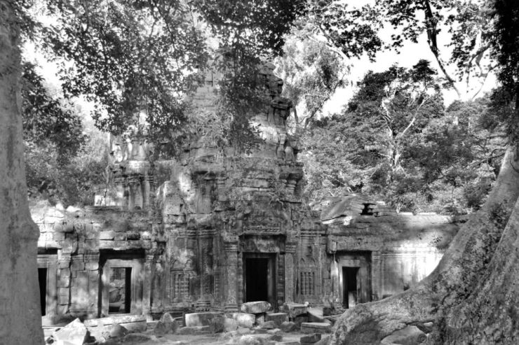 Ta Phrom (36)