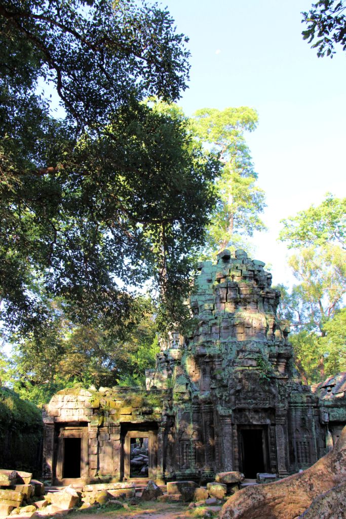 Ta Phrom (37)