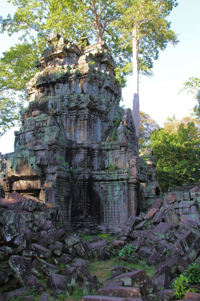Ta Phrom (41)