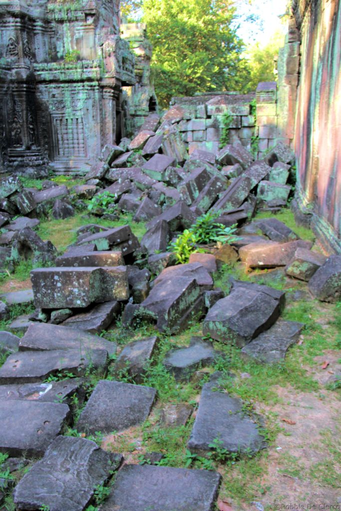 Ta Phrom (43)