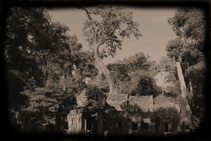 Ta Phrom (5)
