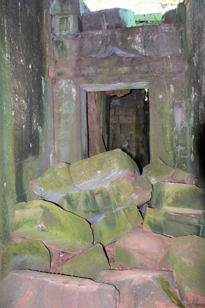 Ta Phrom (62)