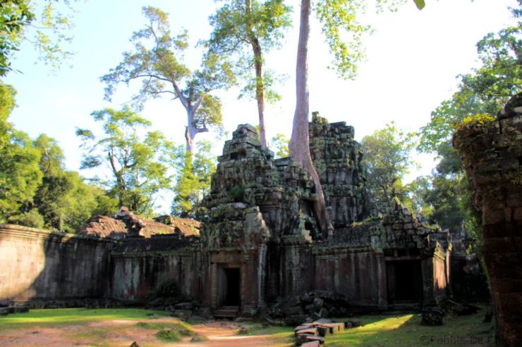 Ta Phrom (63)