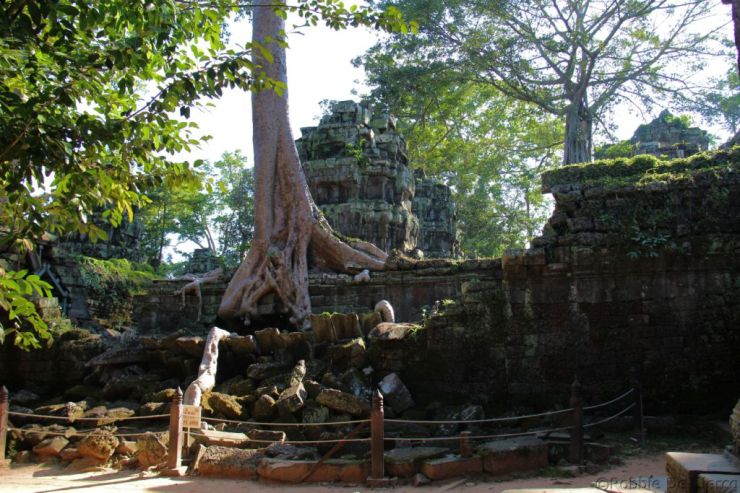 Ta Phrom (65)
