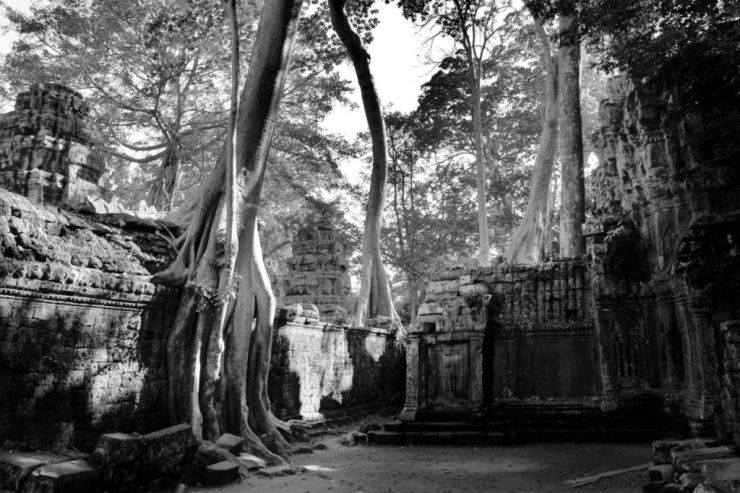 Ta Phrom (69)