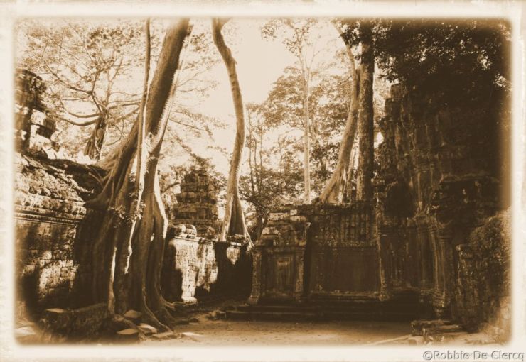 Ta Phrom (70)