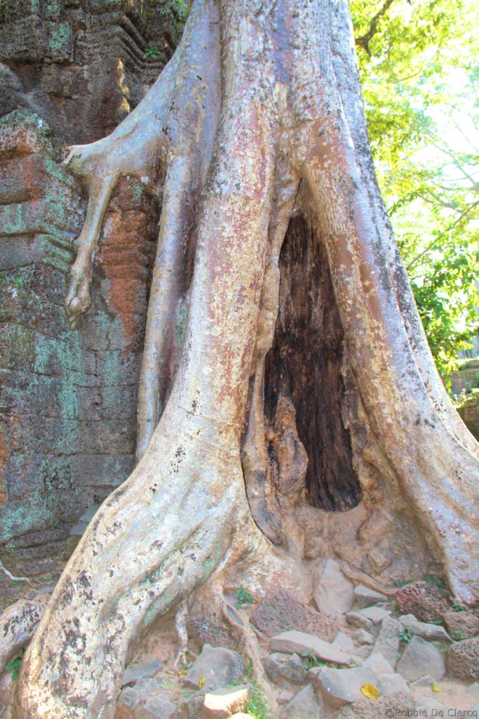 Ta Phrom (73)