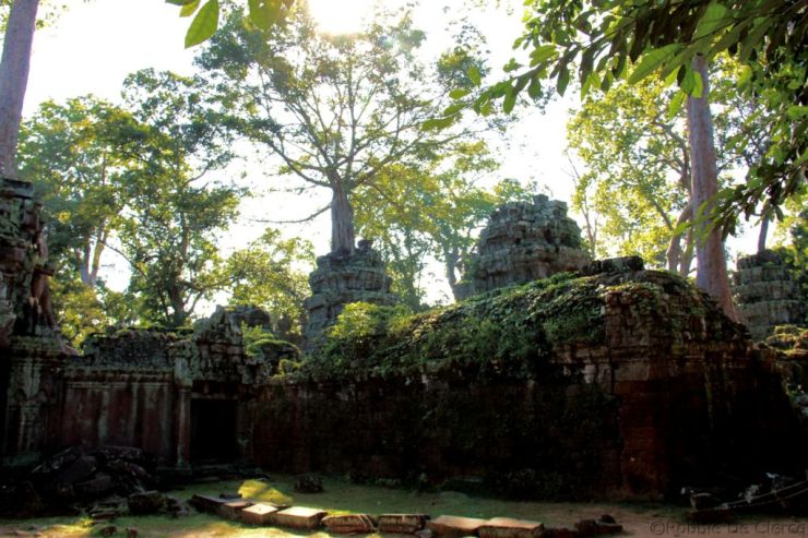 Ta Phrom (74)