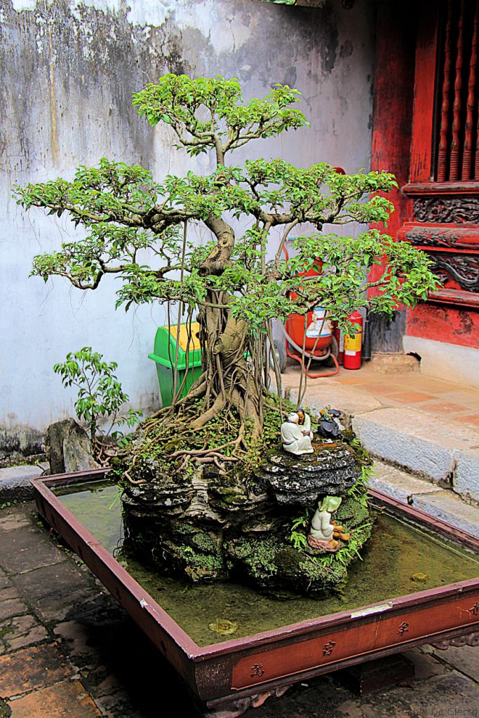 Tempel van de Literatuur (17)