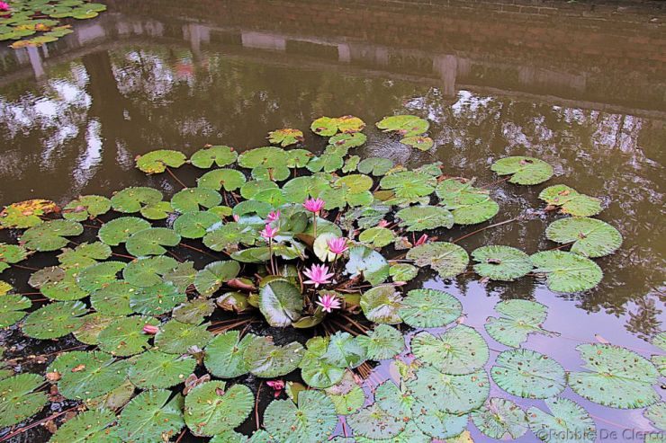 Tempel van de Literatuur (25)