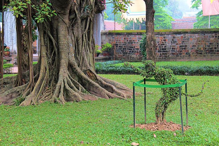 Tempel van de Literatuur (27)