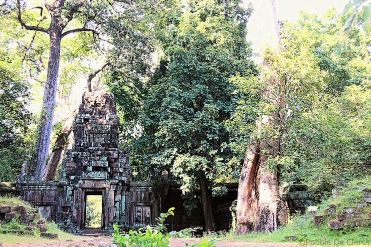 Terras van de Olifanten (1)