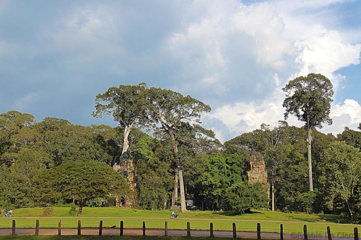 Terras van de Olifanten (3)