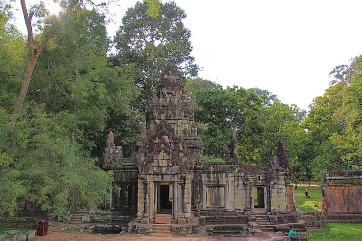 Terras van de Olifanten (9)