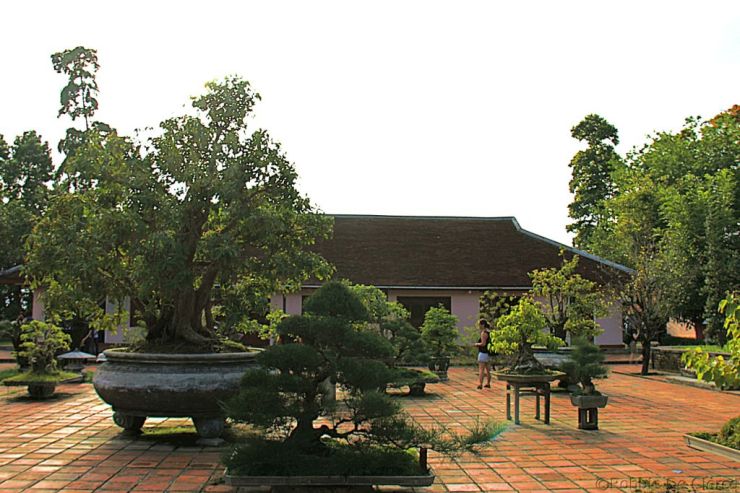 Thien Mu Pagode (38)