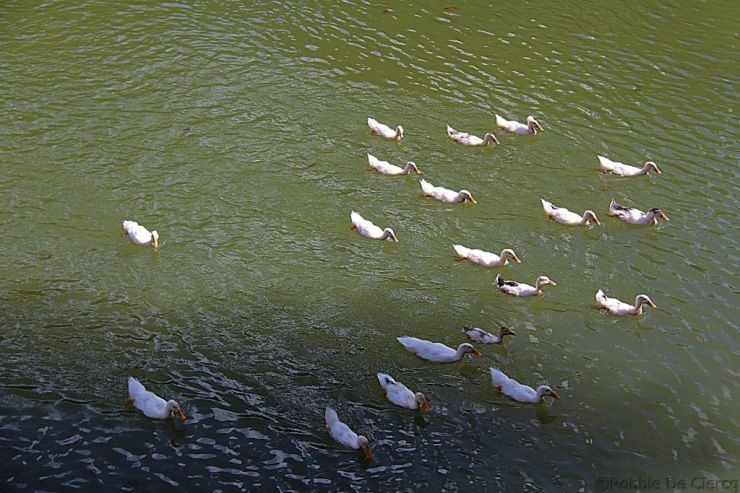 Tombe van Tu Duc (39)