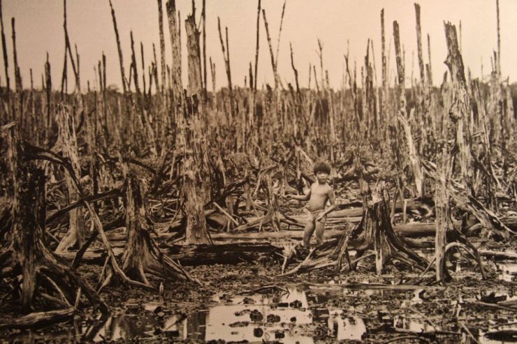 War Remnants Museum Divers (15)