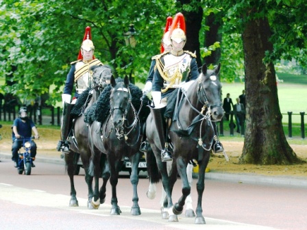 Buckingham Palace 16