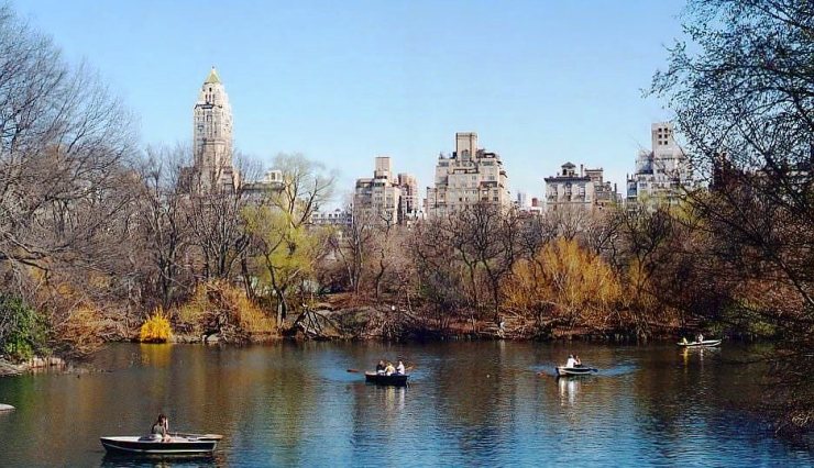 Central Park 11