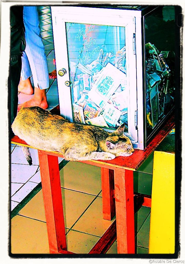 Chauk Htat Gyi-pagode (38)