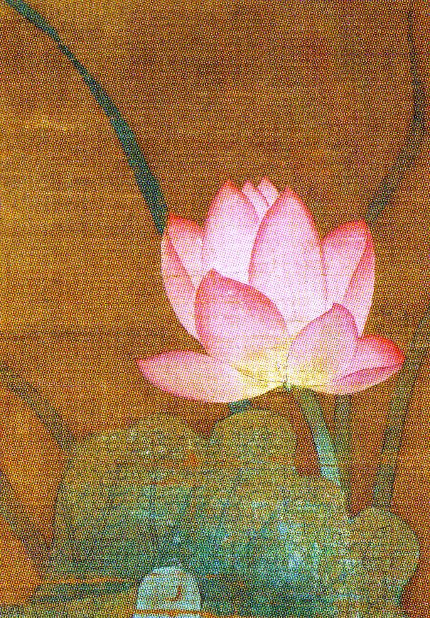 Chinese Piling School - Lotus - 1302