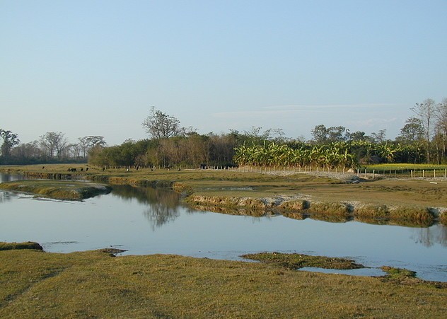 Chitwan 38
