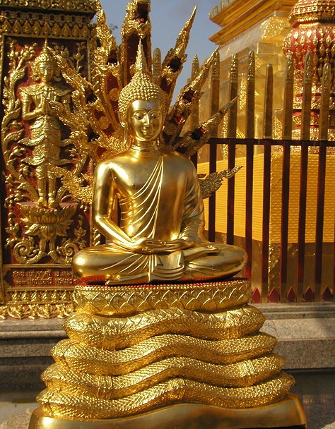 Doi Suthep 24