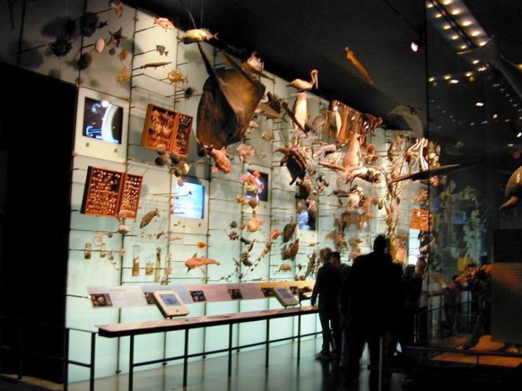 Hall of Biodiversity 03