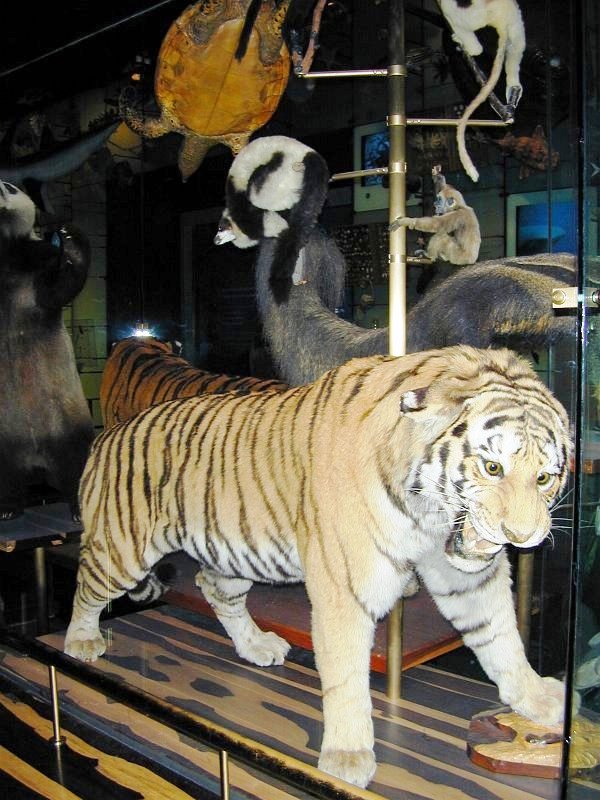 Hall of Biodiversity 04