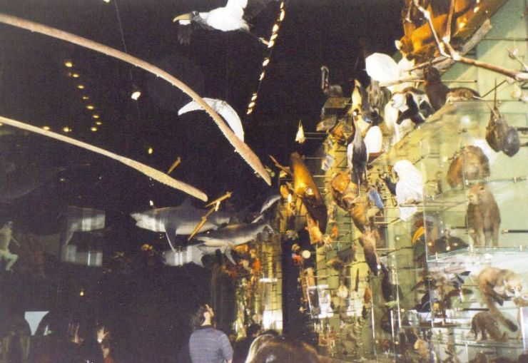 Hall of Biodiversity 05