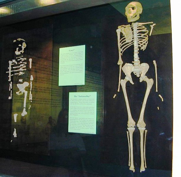 Lucy en de Turkana-jongen